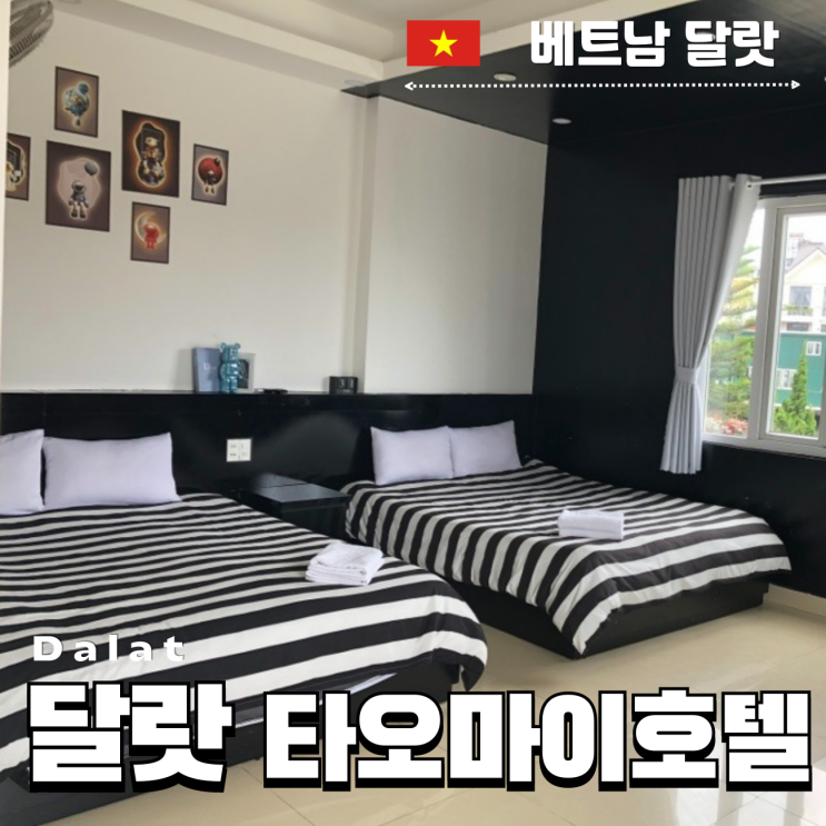 베트남 달랏여행 타오마이부티크호텔 가성비숙소 장기투숙추천