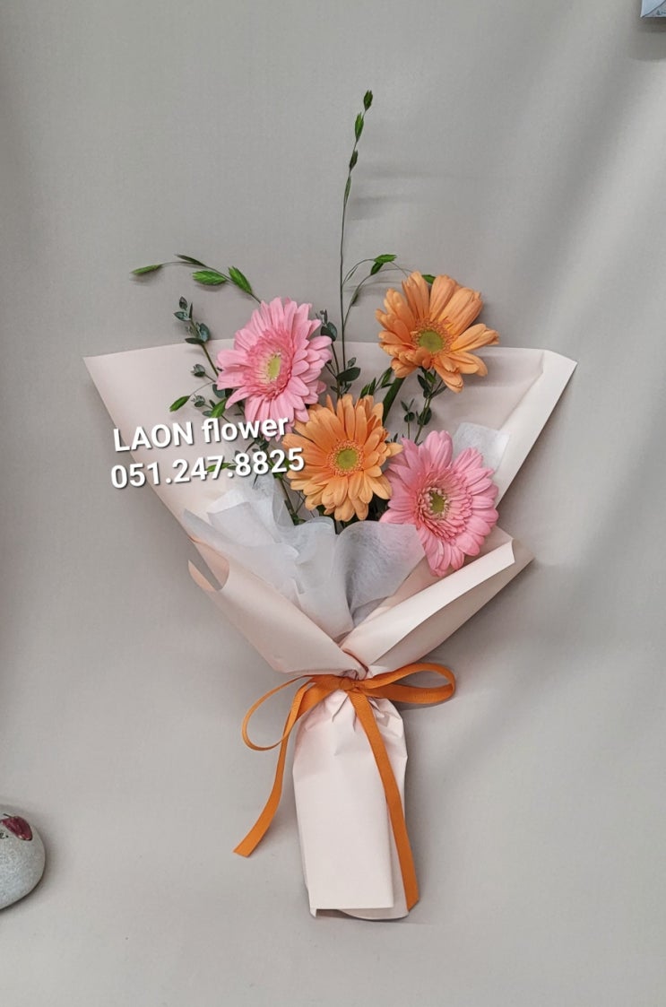 거베라 : 네이버 블로그