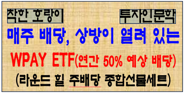 WPAY ETF ; 매주 배당받는 혁신적인 ETF : 네이버 블로그