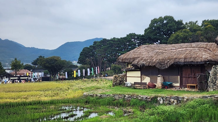 아산여행 짚과 돌로 빚은 600년 마을의 축제 아산 외암민속마을 짚풀문화제 : 네이버 블로그