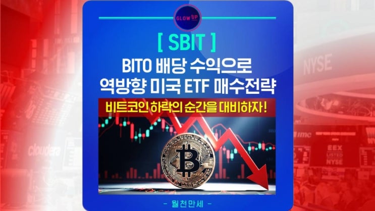 BITO 배당 수익으로 SBIT 역방향 ETF 전략 '공포의 순간을 대비하라!' (feat. 2025년 비트코인 투자 전략 ...