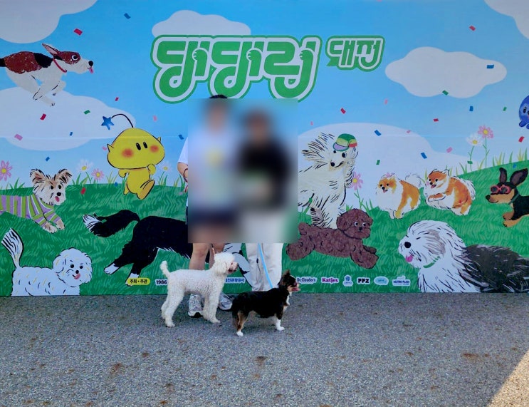 댕댕런 2025 in 대전 - 5k완주