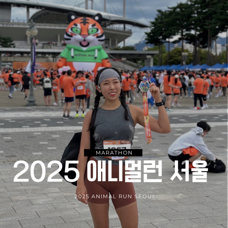 애니멀런 서울 2025 호랑이런 어흥런 10K 마라톤 후기 / 추석 연휴 러닝 행사, 코스, 기념품, 완주 간식