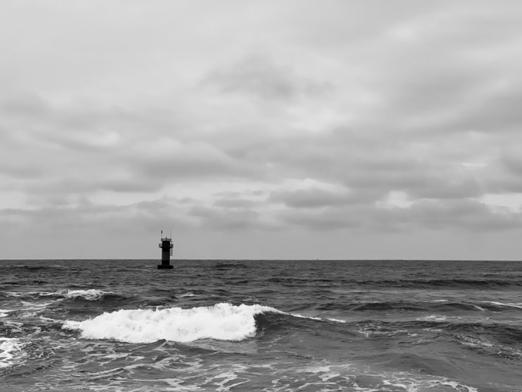 2025 경포 마라톤 후기.