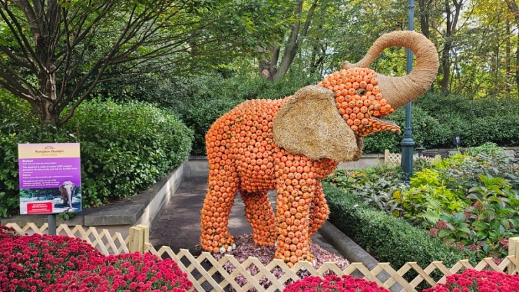 브롱스 주 할로윈 미국 뉴욕 브롱크스 동물원 가을 Bronx Zoo
