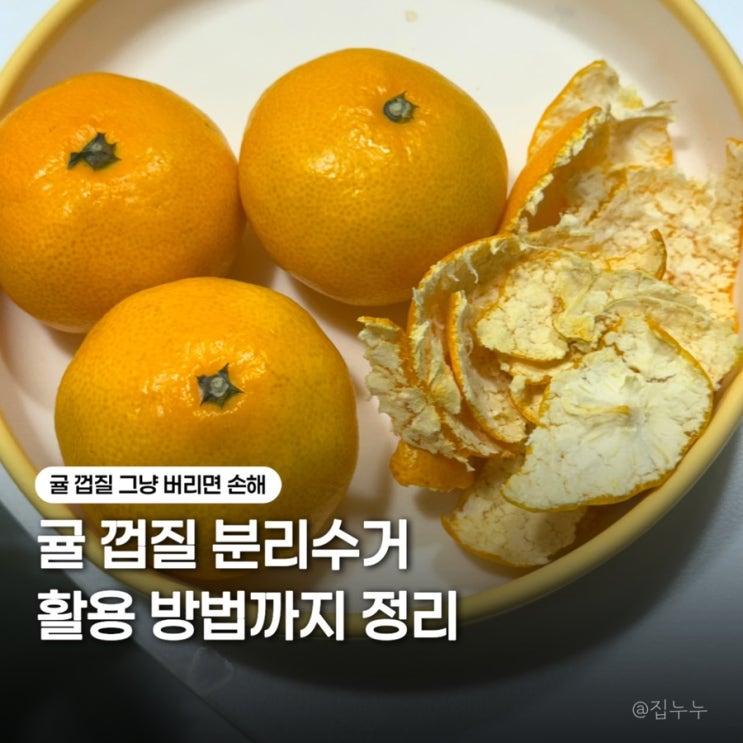 귤껍질 분리수거, 음식물일까? 일반쓰레기일까? 껍질 활용법 : 네이버 블로그