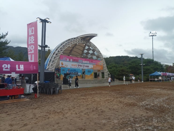 [충주]제19회 충주 앙성 비내길 마라톤대회 도전기