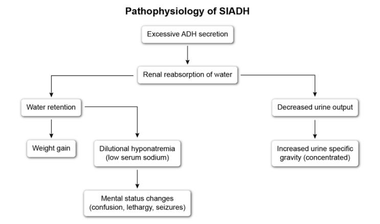 NCLEX RN 공부>SIADH : 네이버 블로그
