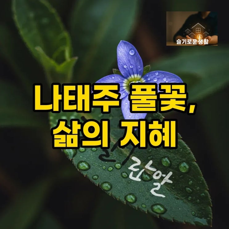 나태주 풀꽃1, 풀꽃2: 시가 인생이고 인생은 한 편의 시다 : 네이버 블로그