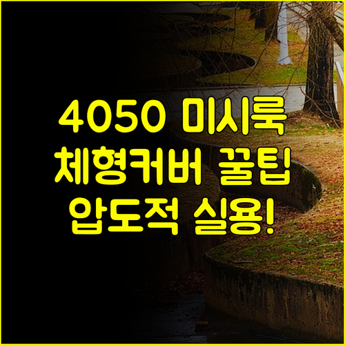 4050 미시룩 디얼마미 빅사이즈 체형 커버를 위한 압도적 실용성