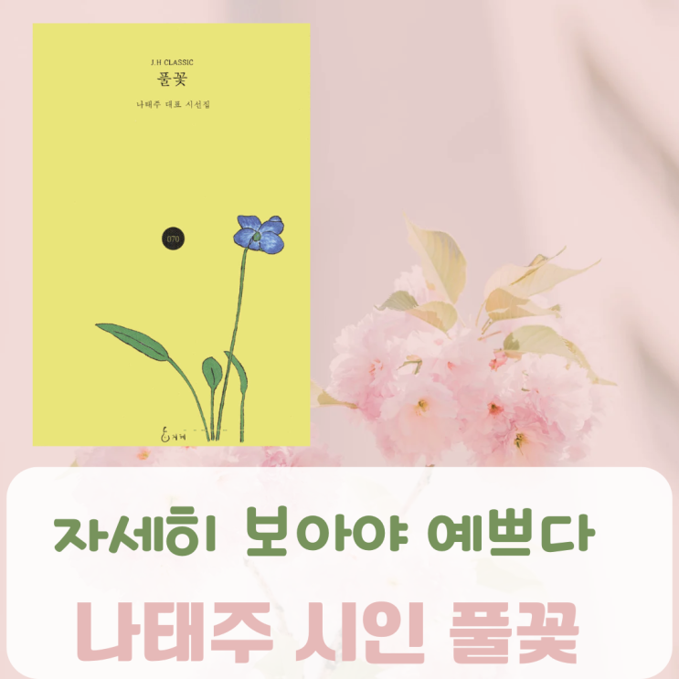 나태주 시인 풀꽃 1 2 3 시 감상 추천 자세히 보아야 예쁘다 : 네이버 블로그