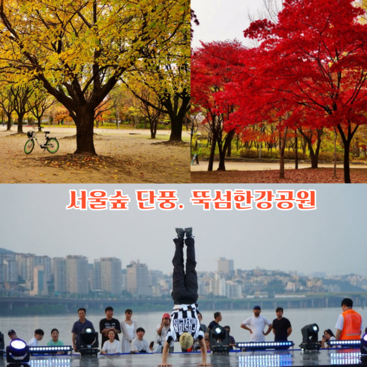 서울숲 놀거리 서울숲 피크닉 단풍,뚝섬한강공원 ‘2025 올댓댄스페스티벌 축제 기본정보 : 네이버 블로그
