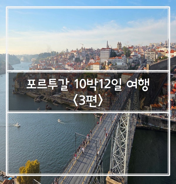 [해외여행] 포르투갈 10박12일 여행_3편(포르투: 볼사 궁전, 그라사 전....