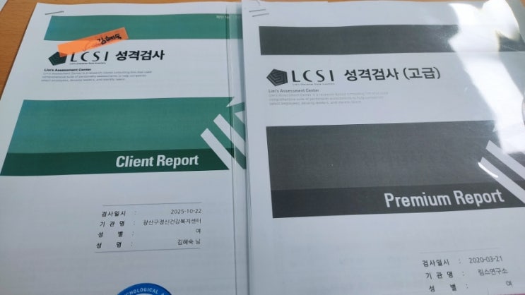 LSCI 성격검사 : 네이버 블로그