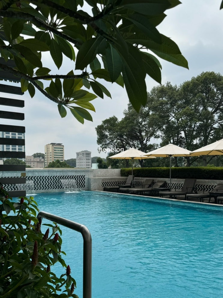 호치민 5성급 호텔 추천 마이 하우스 사이공 호텔 Mai House Saigon Hotel ....