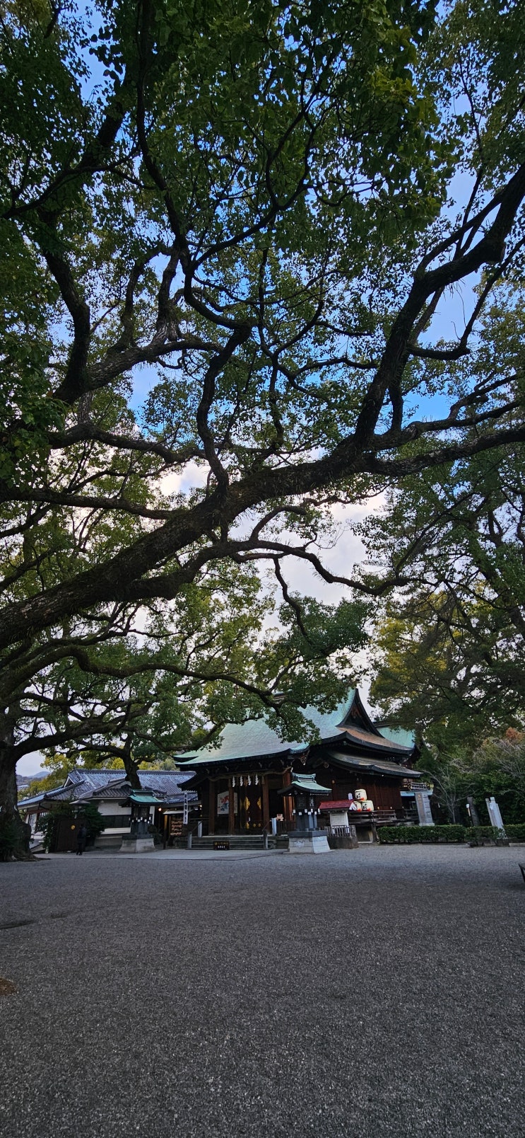 구마모토역 기타오카 신사 Kitaoka Shrine 커다란 녹나무가 인상적인