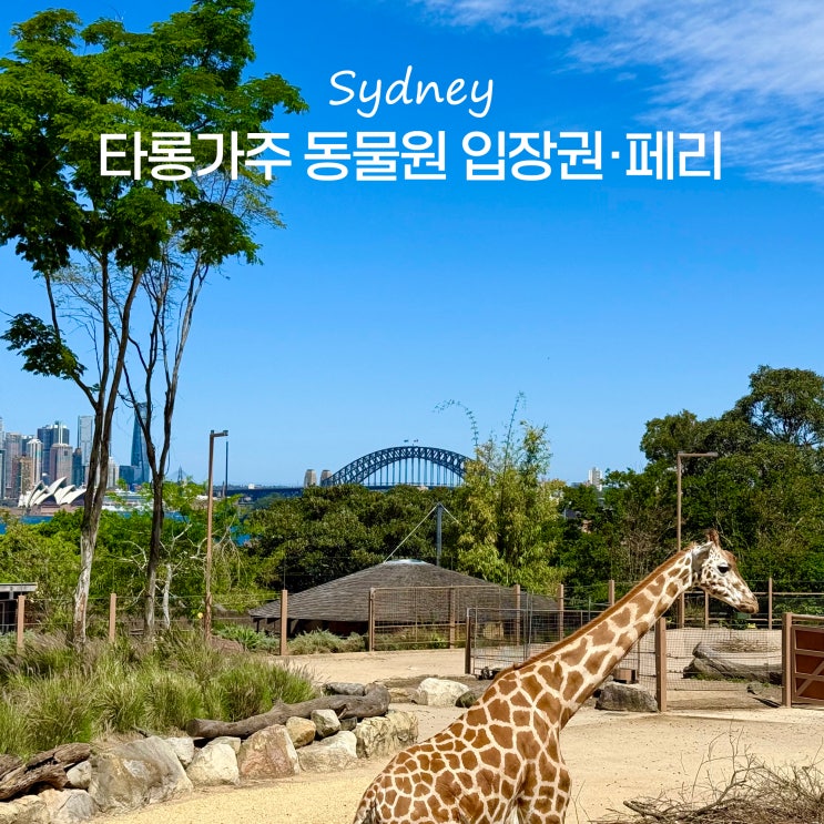 호주 시드니 여행 타롱가주 동물원 입장권 및 페리 타고 가는법
