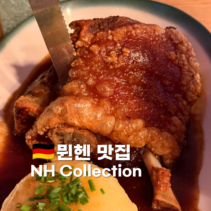 [독일 여행] 꼭 가봐야할 뮌헨 맛집 Augustiner-Keller 슈바인학센 부어스....