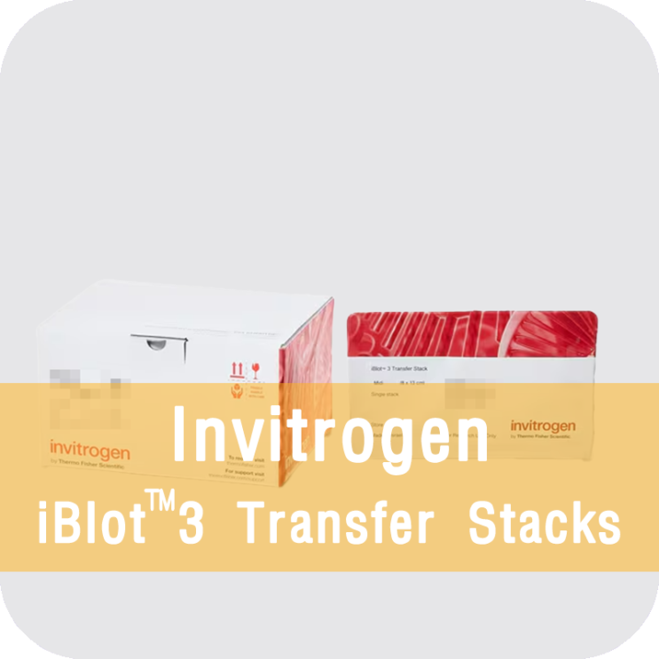 [Invitrogen] IB33001 와 IB33001X3 (iBlot™ 3 Transfer Stacks, midi ...