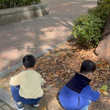 유치부 그림책 수업, <나뭇잎을 찾으면>과 함께한 마중물의 가을 교실 RSS 대표 이미지