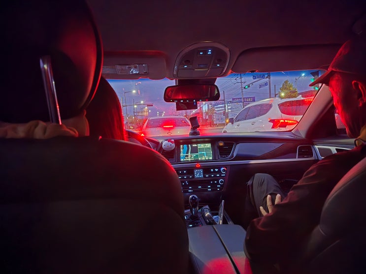 [삼죽특수가스 블로그] 2025 정읍내장산트레일러닝 참가후기(18km)