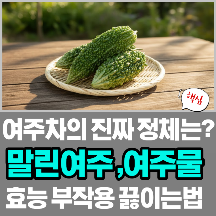 말린 여주 효능 부작용 여주차 여주물 끓이는법 : 네이버 블로그