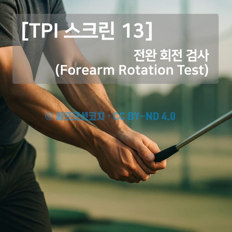 [TPI 스크린 13] 전완 회전 검사(Forearm Rotation Test) — 바디‑스윙 커넥션 | 골프모션코치 : 네이버 블로그