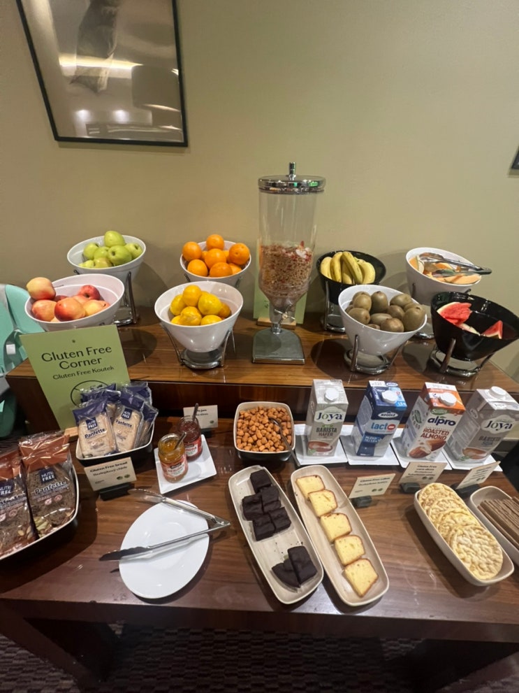 프라하 여행 숙소 추천_보타니크 호텔 프라하(Botanique Hotel Praha)