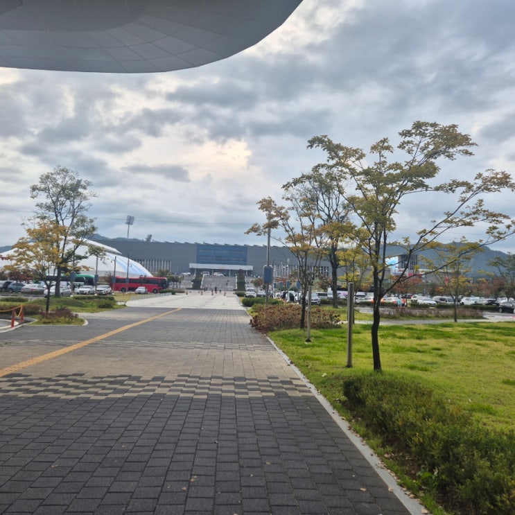 2025년 제24회 충주마라톤대회 후기[하프코스]