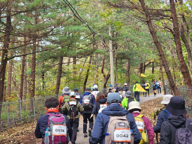 경북 백두대간 트레일6 챌린지 영주 소백산 연화봉 등산코스 승우여행사