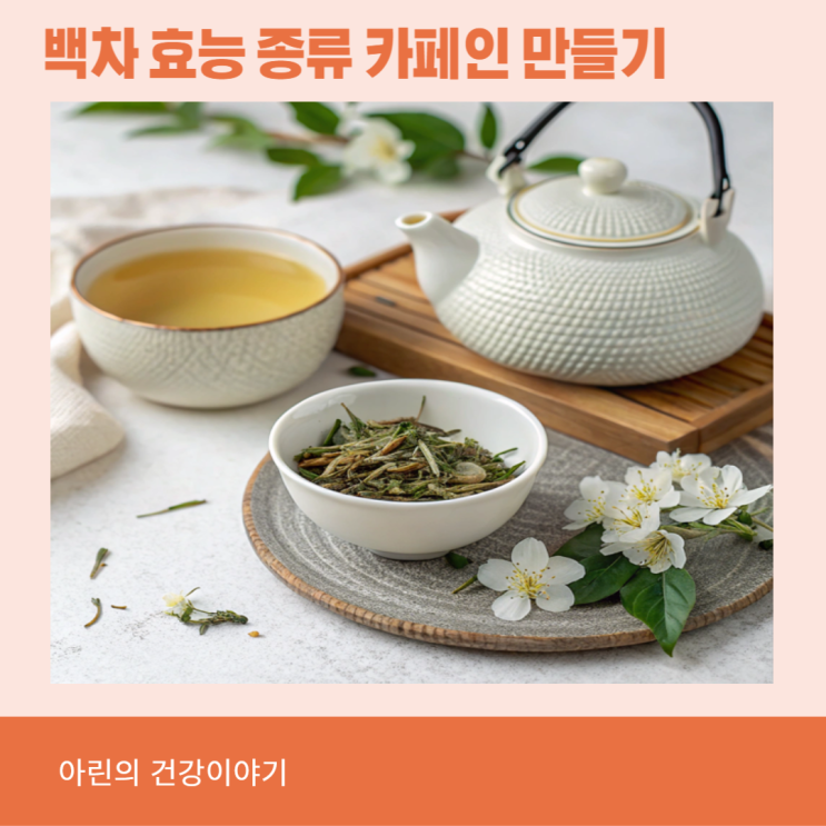 백차 효능 종류 카페인 만들기 마시는법 : 네이버 블로그