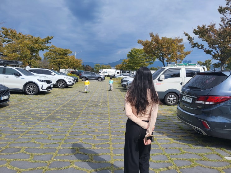 부산 가볼만한곳 여행지 추천, 강서구 대저생태공원 다녀왔어요...