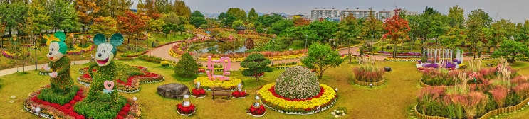 제7회 유성국화마라톤(10km)+ 유성국화축제