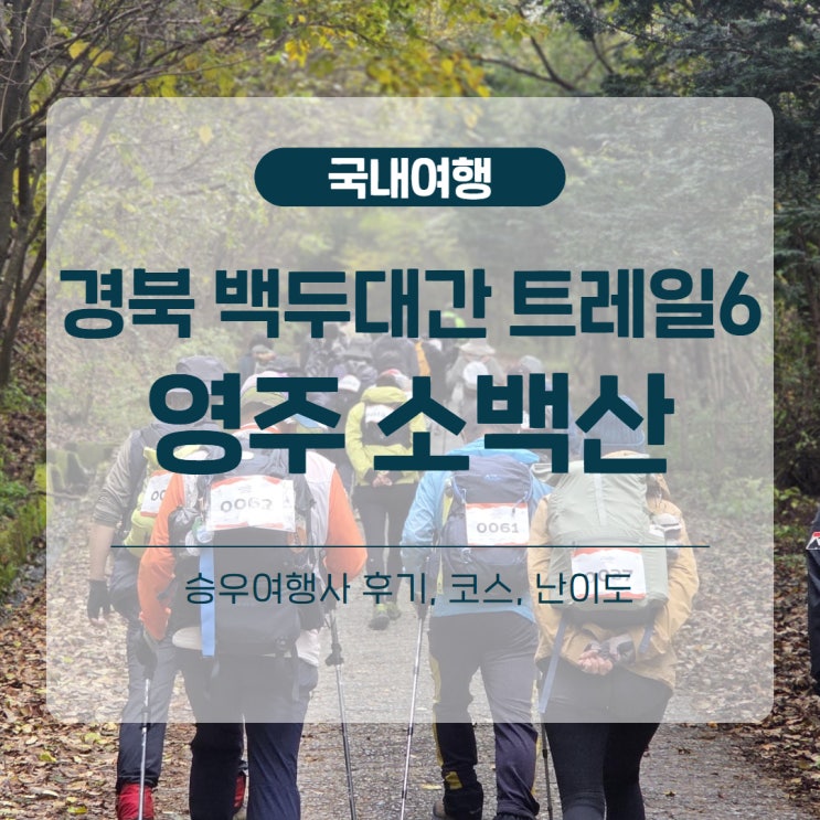 2025 경북 백두대간 트레일6 챌린지 : 영주 소백산 연화봉 등산코스 (승우여행사 후기)