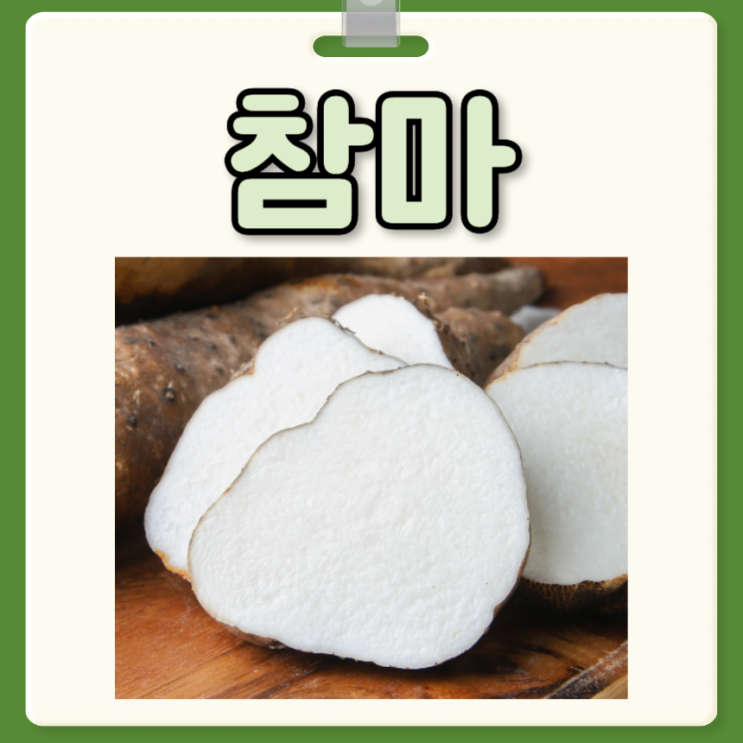 참마 효능 부작용 안동참마 가격 먹는 법 : 네이버 블로그