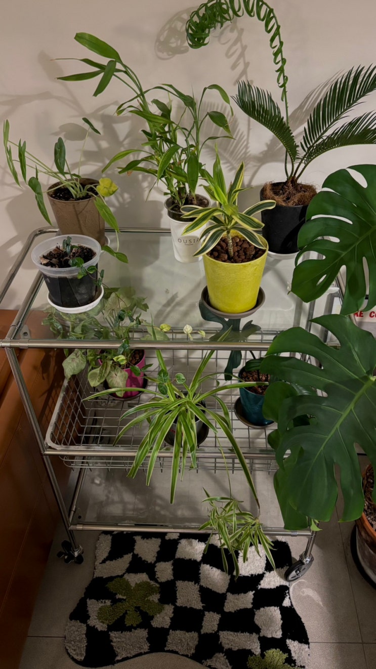 10 Paint candy : 네이버 블로그