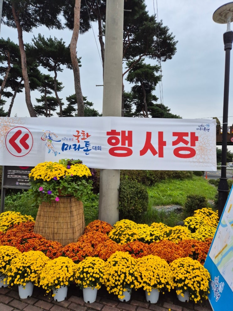 2025년 제7회 유성국화마라톤대회 참여후기 10KM 완주