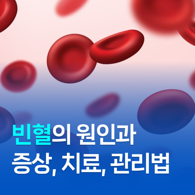 빈혈 증상, 원인, 치료와 예방법까지 모두 정리 : 네이버 블로그