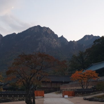 25.10.29 수요일(설악산) RSS 대표 이미지