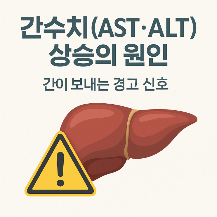 30대 40대 간수치(AST·ALT) 상승의 원인｜수치가 높을 때 꼭 알아야 할 사실 : 네이버 블로그