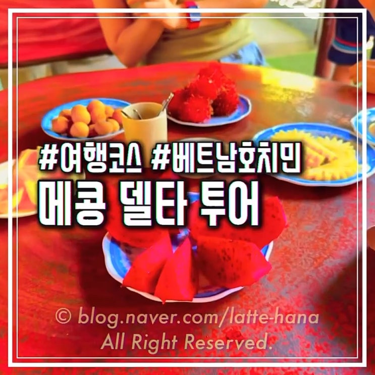 미토 메콩강 투어 in 아이와 호치민 여행 : 유니콘섬 벌꿀 & 열대과일