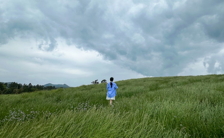 제주도 오름 추천 11월 제주 새별오름 군산오름 안친오름