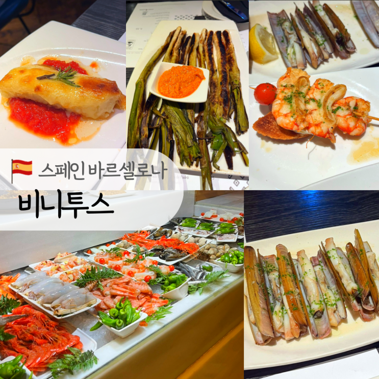 스페인 바르셀로나 비니투스 Vinitus (웨이팅, 추천 메뉴), 한국인 취향저격 꿀대구 맛집 타파스바 추천 : 네이버 블로그