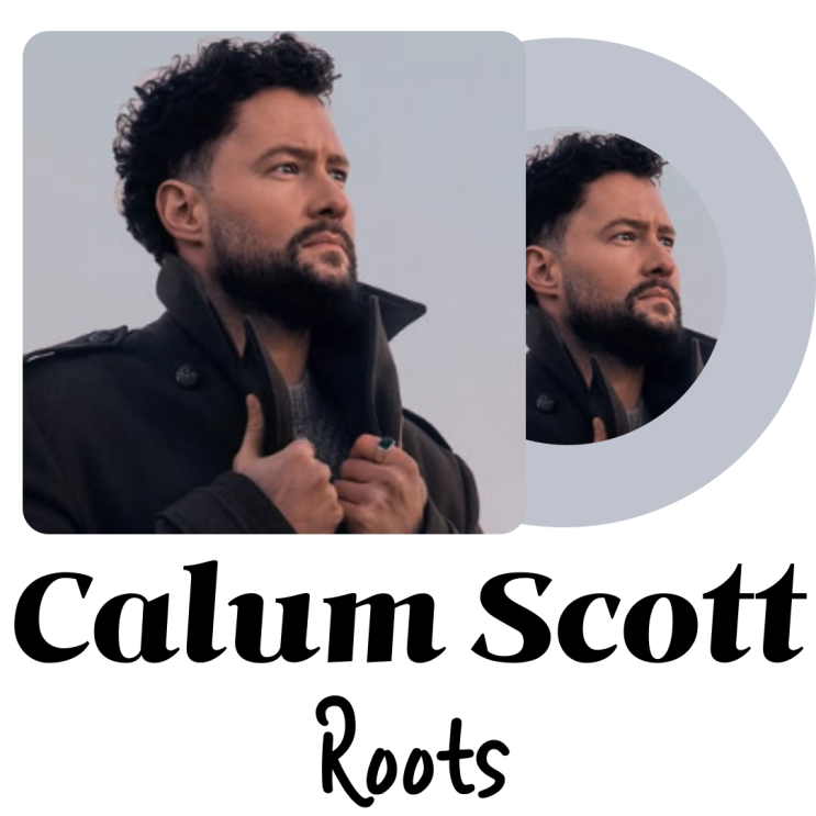 가을에 듣기 좋은 팝송 Scott Calum Roots 가사해석 발음 : 네이버 블로그