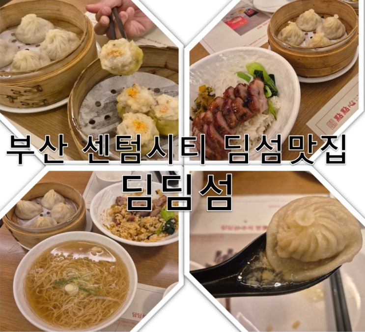 부산 딤섬 맛집 딤딤섬 신세계백화점 센텀시티 : 네이버 블로그