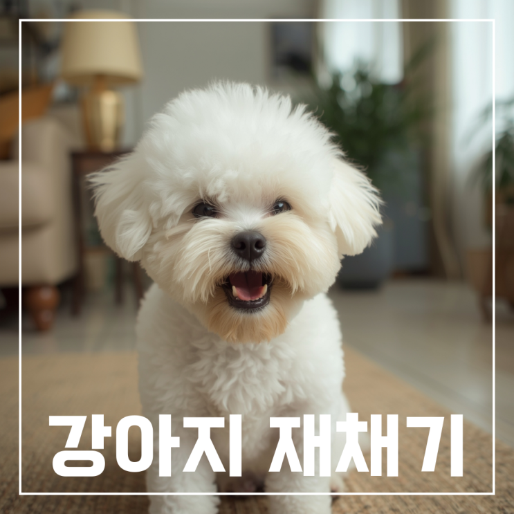 강아지 재채기 괜찮을까? 이유와 대처법 : 네이버 블로그