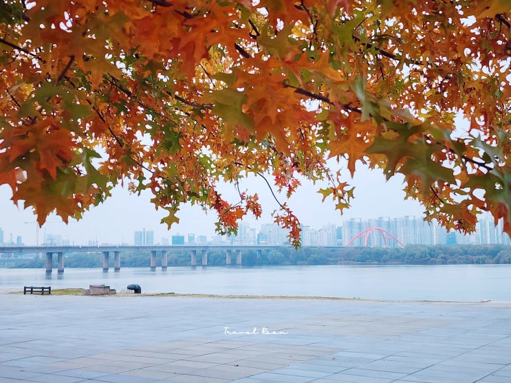여의도 한강공원 단풍 서울 나들이 코스 텐트 시간 : 네이버 블로그