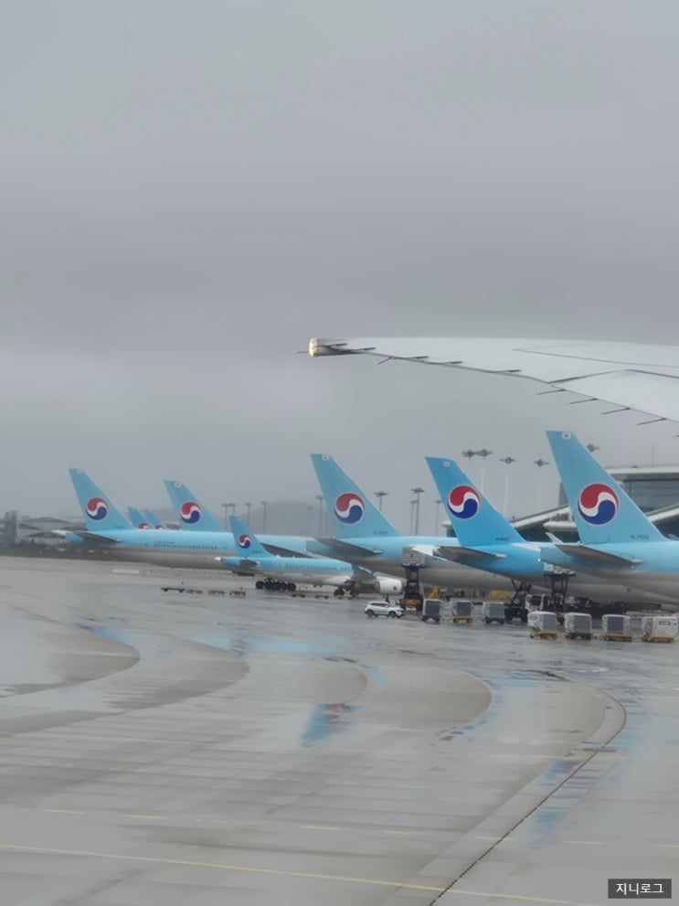 대한항공 싱가포르-인천 탑승 및 기내식 후기(KE646,B777-300)🇸🇬 ️ : 네이버 블로그