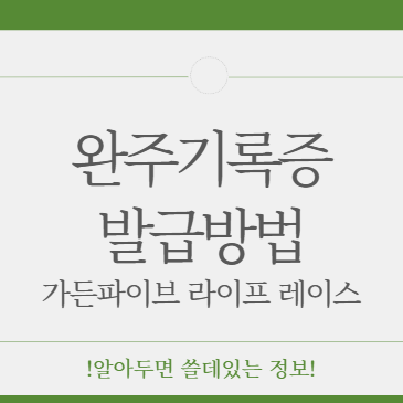 가든파이브 라이프 레이스 완주 기록증 받는 방법