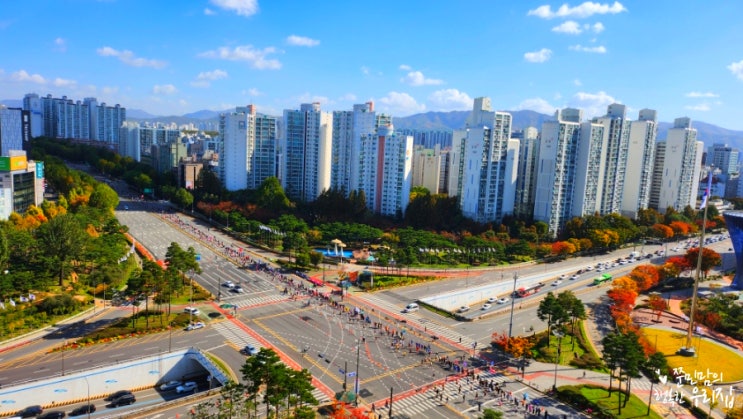 11월 2일(일) 2025 JTBC 서울마라톤 실시간!!